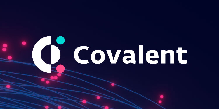 Hashed，Binance，Coinbase和其他公司向区块链数据网络Covalent投资200万美元