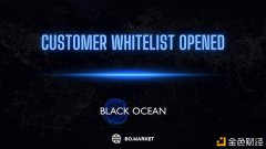 创新暗池平台BlackOcean开启测试网白名单申请