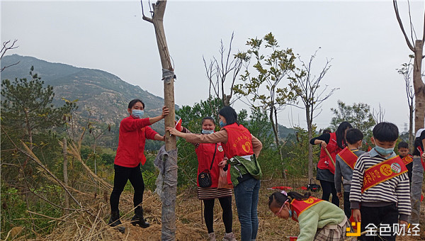 植树造林、绿化晋江——志愿者义务植树运动
