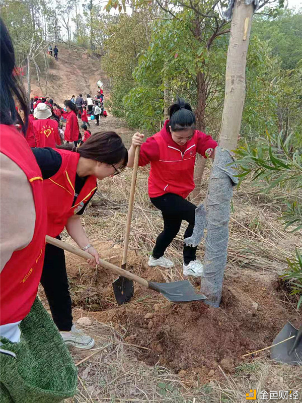 植树造林、绿化晋江——志愿者义务植树运动