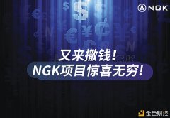 NGK生态所突围：创新产物矩阵争夺数字资产生意业务