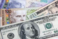 USD / CAD预测3月8日至12日-加元上涨，加拿大央行下一次