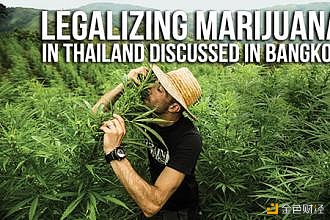新麻科普：泰国政府与＂大麻＂财产的千丝万缕