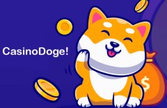 通过CasinoDoge投注并赢取您的Dogecoins！