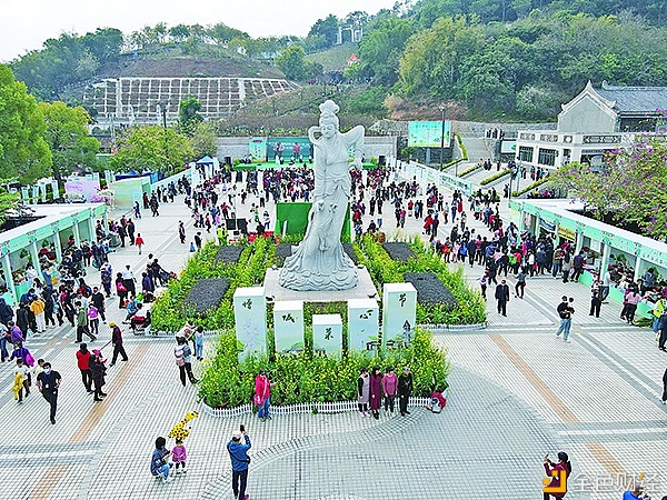 2020广州（增城）菜心美食节在小楼镇何仙姑文化广场盛纵脱行