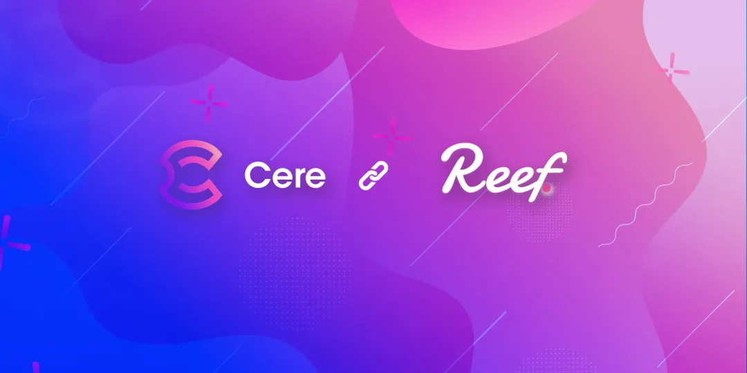 Reef Finance项目进度周报（2021.02.10-02.16)