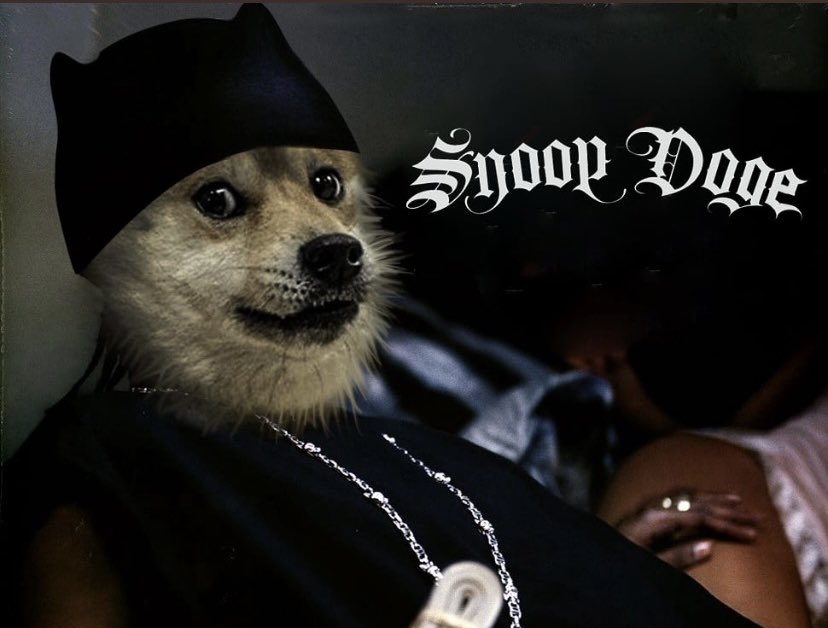 在Snoop Dogg成为Snoop DOGE之后，狗狗币的涨幅跨越36％