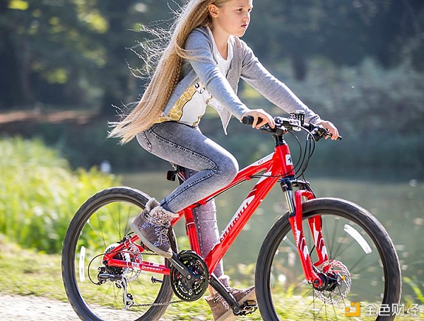 2021中国十大儿童自行车性价比世界儿童最好自行车品牌排行榜