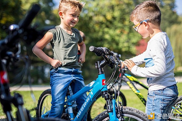 2021中国十大儿童自行车性价比世界儿童最好自行车品牌排行榜