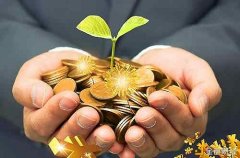 富币生意业务-开启投资理财平台新纪元