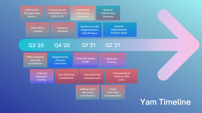 YAM公布2021年门路图：包罗五大产品更新