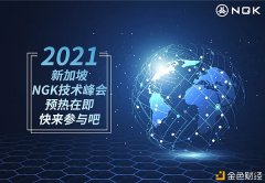 预热NGK2021新加坡技能峰会——洞察区块链成长脉络