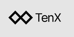 加密付出和钱包项目TenX封锁