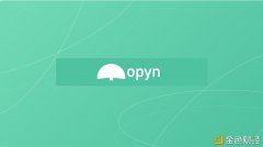 基于期权协议的风险打点平台OpynV2利用教程