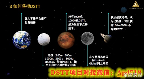 DSTT(大嫂)项目介绍