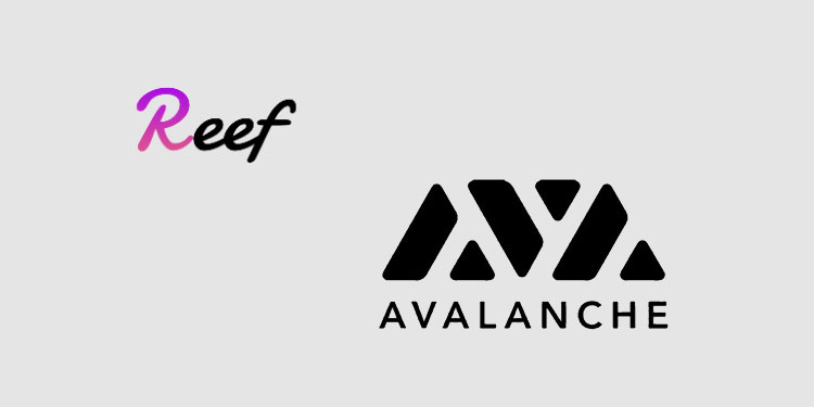 Reef Finance与Avalanche集成以启用对跨链DeFi的接见
