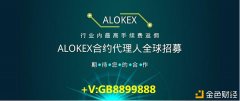 ALOKEX数字钱币永续合约生意业务特点