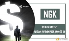 重磅!NGK公链是将来两年重要的投资偏向,可能是独一偏