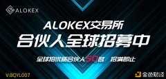 ALOKEX数字钱币合约参数表明