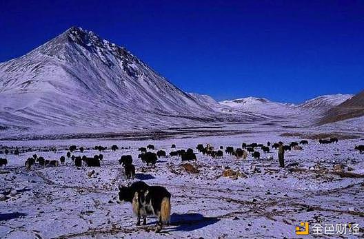 想方式略西藏雪域天堂的美景史带保险不要健忘哟
