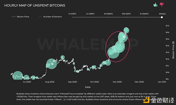 比特币鲸鱼集群显示：“机构FOMO”是本轮比特币上涨的背后推手