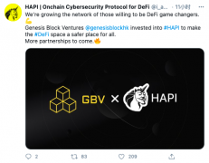 区块链网络安详平台HAPI获GBV投资，详细金额未披露