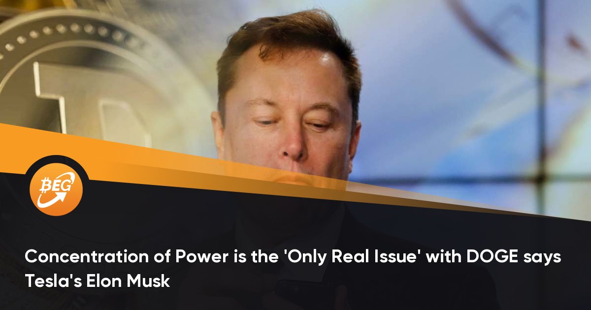 特斯拉的埃隆·马斯克（Elon Musk）说，权力汇合是DOGE的“唯一真正的问题”