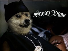 在Snoop Dogg成为Snoop DOGE之后，狗狗币的涨幅高出36％