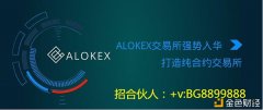 ALOKEX数字钱币资金费率说明和界说