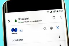 俄罗斯公司Nornickel插手RSBN区块链