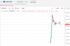 FTX上线Coinbase Pre-IPO产物CBSE，价值一度涨至296美金