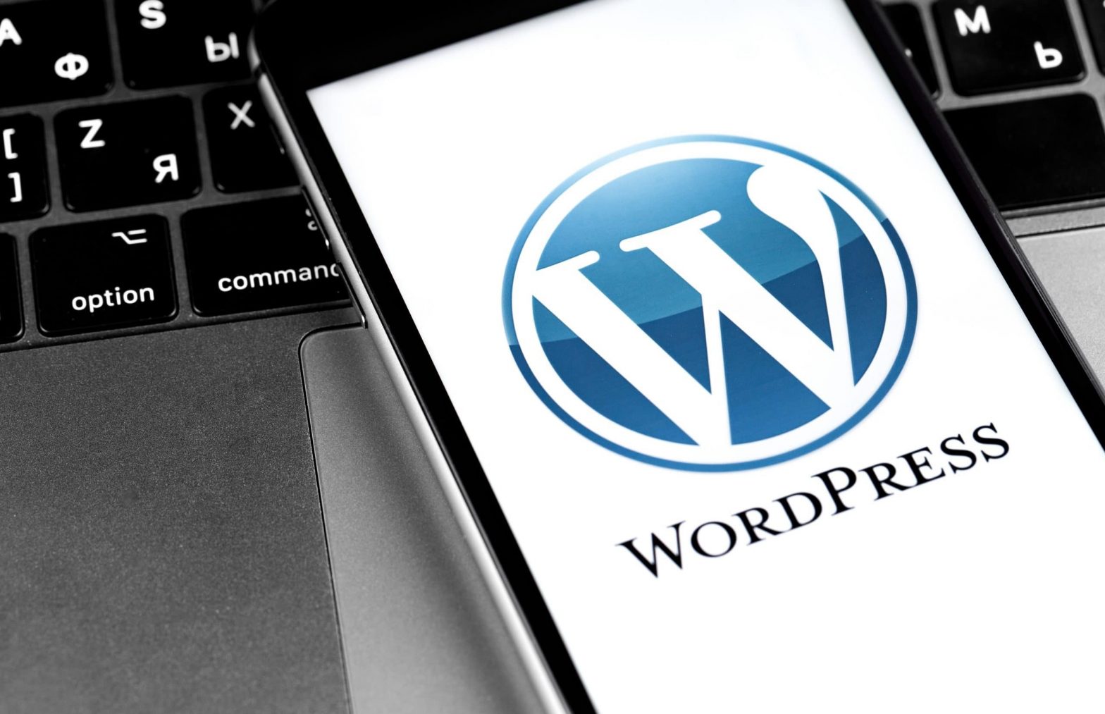 WordPress集成了以太坊广告插件-从新考虑了在线营销？