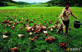 区块链加速财产革命-打造畜禽养殖业生长新途径