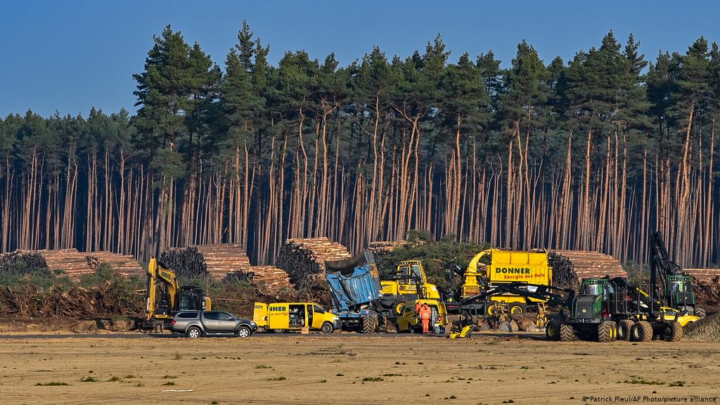 德国一家法院下令TESLA不要砍伐更多树木